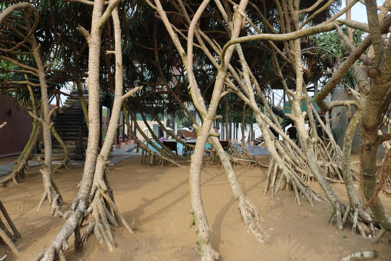 Saprin Beach Resort Uswetakeiyawa Exterior foto
